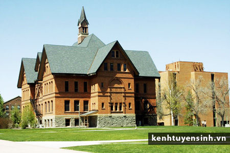 Đại học Montana State